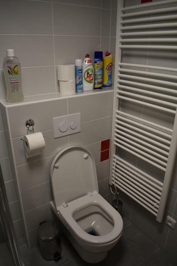 Apartma Fara Loučná nad Desnou Kültér fotó